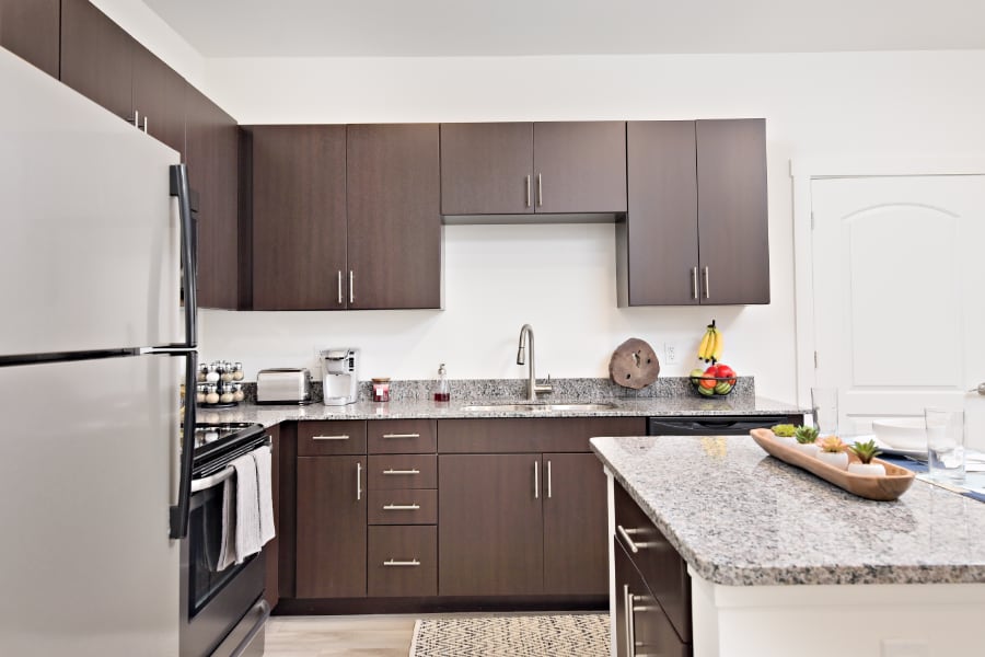 A kitchen with succulent plants on a counter in Echo Park Bloomington Apartments.