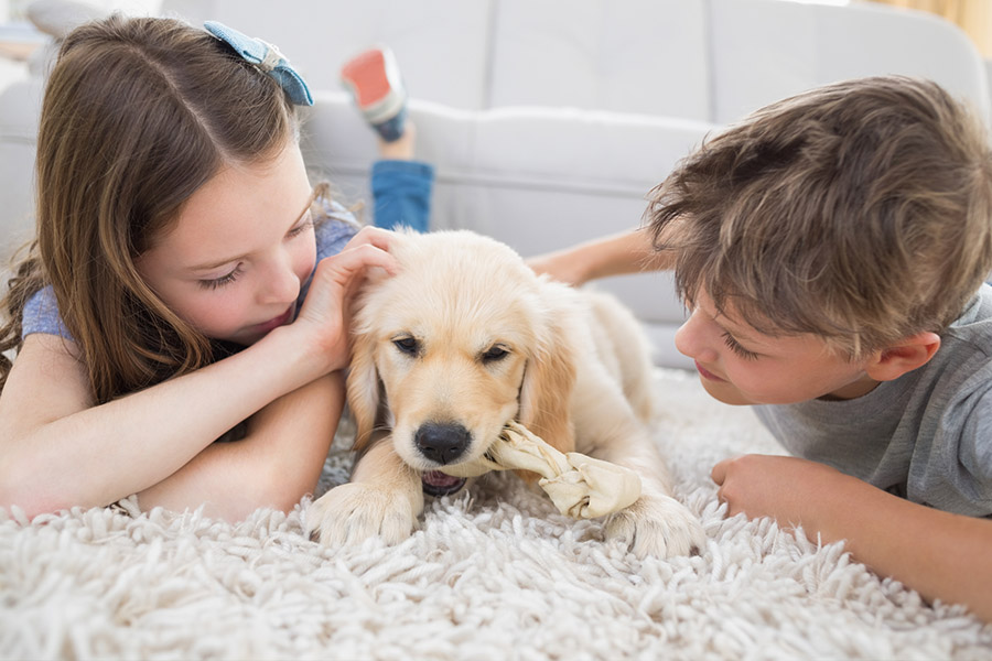 Choose a pet-friendly apartment for your beloved pets. Kids and a puppy on the floor playing.